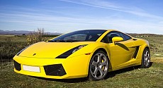 Gallardo